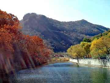 管家婆黑白马报图库，冰露桶装水